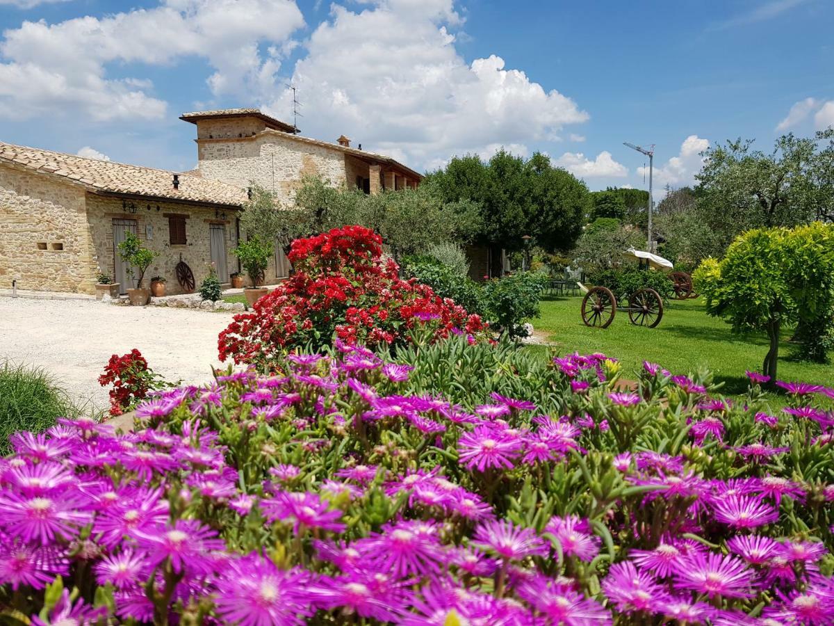 Agriturismo Arcobaleno Della Torretta Giano dell'Umbria Ngoại thất bức ảnh
